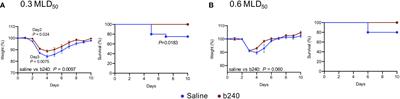 Oral intake of heat-killed Lactiplantibacillus pentosus ONRICb0240 partially protects mice against SARS-CoV-2 infection